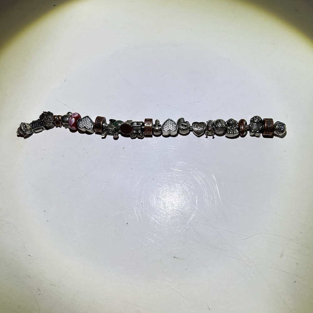 Pandora 23 Charm 925 Sterling SiL Crystal Hearts Mom Boy Girl  Family 8"Bracelet - Picture 7 of 10